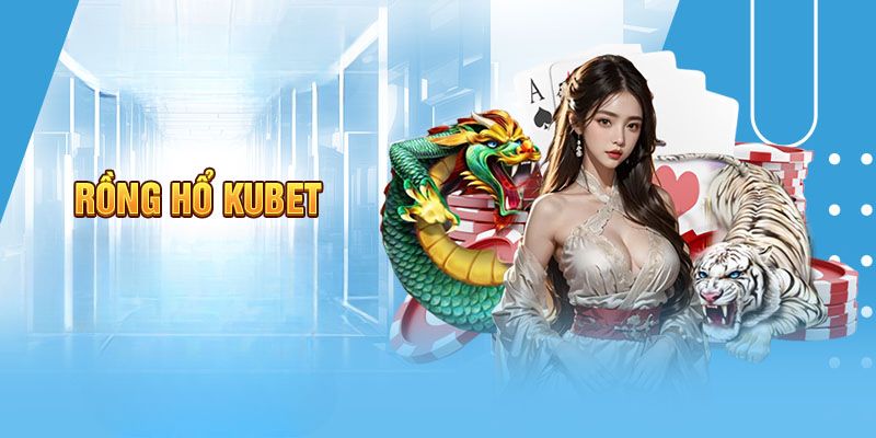 rồng hổ Kubet